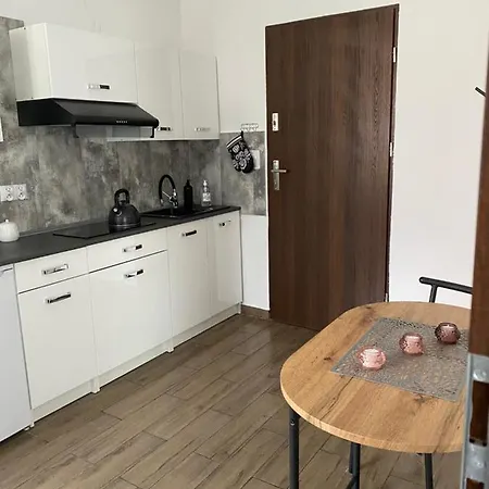 Apartamenty Otryt Ustrzyki Dolne Exterior photo