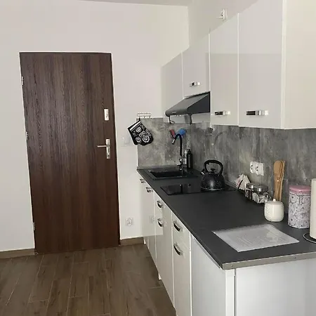 Apartamenty Otryt Ustrzyki Dolne Exterior photo